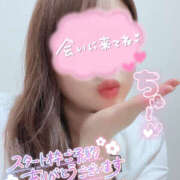 ヒメ日記 2026/02/20 12:08 投稿 はる 栃木♂風俗の神様宇都宮店