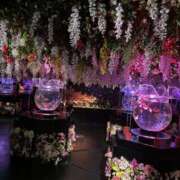 ヒメ日記 2026/03/02 02:10 投稿 ゆづき 黒い金魚（札幌）