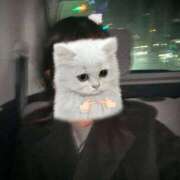 ヒメ日記 2026/02/15 22:30 投稿 BABY MILK【みるく】 ピンクコレクションBabyキタ兎我野店