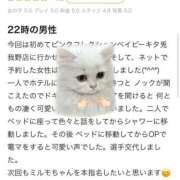 ヒメ日記 2026/02/20 22:20 投稿 BABY MILK【みるく】 ピンクコレクションBabyキタ兎我野店