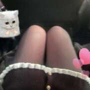 ヒメ日記 2026/03/21 10:30 投稿 BABY MILK【みるく】 ピンクコレクションBabyキタ兎我野店