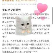 ヒメ日記 2026/03/21 12:31 投稿 BABY MILK【みるく】 ピンクコレクションBabyキタ兎我野店