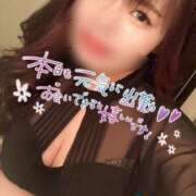 ヒメ日記 2026/02/25 08:32 投稿 あお sakura