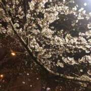 ヒメ日記 2026/03/27 13:32 投稿 あお sakura