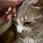 ヒメ日記 2026/03/20 11:07 投稿 ふうか あふたーすくーる本店