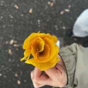 ヒメ日記 2026/04/06 16:27 投稿 ふうか あふたーすくーる本店