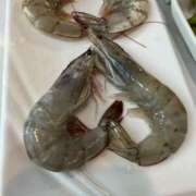 ヒメ日記 2026/04/30 01:18 投稿 ふうか あふたーすくーる本店