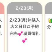 ヒメ日記 2026/02/21 21:45 投稿 れいか★SS級最高峰の原石★ Chloe錦糸町店 S級素人清楚系デリヘル