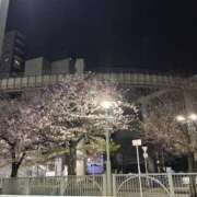 椋花(りょうか) いつかの桜！ Chaleur (シャルール)