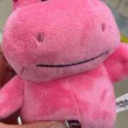 ヒメ日記 2026/02/24 09:34 投稿 せいな 金瓶梅(きんぺいぱい)(雄琴)