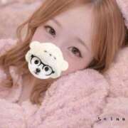 せいな 緊急告知🚨 金瓶梅(きんぺいぱい)(雄琴)