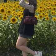 ヒメ日記 2026/08/15 10:21 投稿 りあん(極上SPコース対応) LIGHT（ライト）～光が導く無限の可能性～