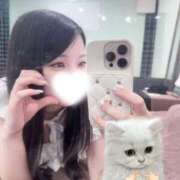 ヒメ日記 2026/03/20 06:47 投稿 みり CECIL