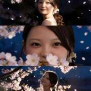 ヒメ日記 2026/03/29 00:38 投稿 みり CECIL