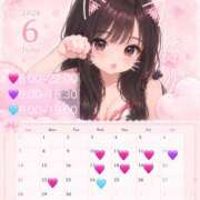 みり (^. ̫.^)⟆ CECIL