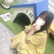 ヒメ日記 2026/02/20 19:46 投稿 みつき(新人割5/30まで) ニュー不夜城