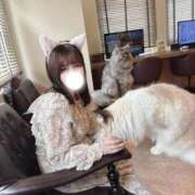 ヒメ日記 2026/02/22 12:06 投稿 みつき(新人割5/30まで) ニュー不夜城