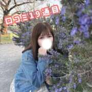 ヒメ日記 2026/03/23 12:16 投稿 みつき(新人割5/30まで) ニュー不夜城