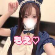 ヒメ日記 2026/02/24 12:23 投稿 ☆もえ☆ ◆プラウディア◆AAA級素人娘在籍店