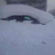 ヒメ日記 2026/02/22 21:35 投稿 ちはや JAPAN CLUB BUNNY LOUNGE