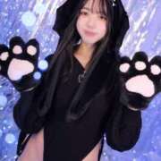 ヒメ日記 2026/03/30 11:04 投稿 ちはや JAPAN CLUB BUNNY LOUNGE