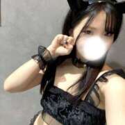 ヒメ日記 2026/03/18 15:36 投稿 みかん 155