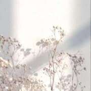 ヒメ日記 2026/03/04 14:41 投稿 新人・奈緒(なお) グランドオペラ福岡