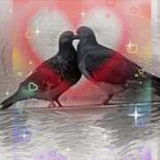 ヒメ日記 2026/03/07 12:02 投稿 成瀬 新宿人妻城