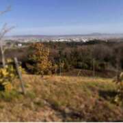 ヒメ日記 2026/02/24 11:55 投稿 えま ちゃんこ大阪十三