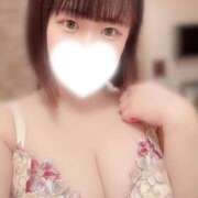 うさぎ 後悔させない Ace(エース)