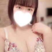 ヒメ日記 2026/03/08 07:45 投稿 うさぎ Ace(エース)