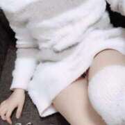 ヒメ日記 2026/02/19 09:49 投稿 花桐 風鈴 東京貴楼館