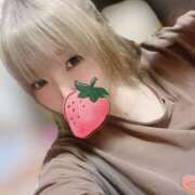 ヒメ日記 2026/04/04 06:04 投稿 のどか ちゃんこ大阪伊丹空港豊中店