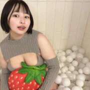 ヒメ日記 2026/02/20 08:43 投稿 田中 RING