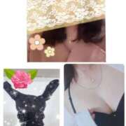 ヒメ日記 2026/03/01 08:47 投稿 こまち 熟女家 堺東店