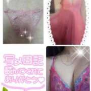 ヒメ日記 2026/03/16 08:37 投稿 こまち 熟女家 堺東店