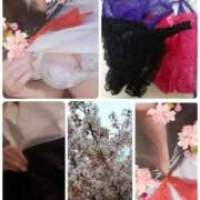 ヒメ日記 2026/04/05 08:57 投稿 こまち 熟女家 堺東店