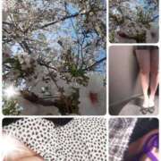 こまち ♡ひもパンティ～&マタワレパンティ～あります♡本日出勤します 熟女家 堺東店