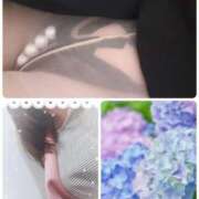 ヒメ日記 2026/05/14 08:47 投稿 こまち 熟女家 堺東店