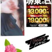 ヒメ日記 2026/09/26 10:07 投稿 こまち 熟女家 堺東店