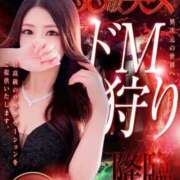 ヒメ日記 2026/02/25 10:12 投稿 れいか★某有名店から電撃移籍 BUNNY PLAS