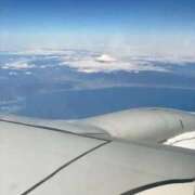 れいか★某有名店から電撃移籍 🌹おやま🌹 BUNNY PLAS