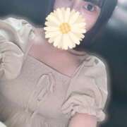 ヒメ日記 2026/09/06 15:41 投稿 ヒナミ ソープランドMAX‐マックス-