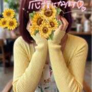 ヒメ日記 2026/04/04 12:54 投稿 陽葵-HIMARI- 博多最高級濃厚洗体風俗エステ シャルドネ福岡