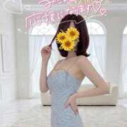 ヒメ日記 2026/04/08 11:44 投稿 陽葵-HIMARI- 博多最高級濃厚洗体風俗エステ シャルドネ福岡