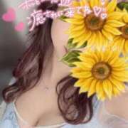 ヒメ日記 2026/05/03 12:54 投稿 陽葵-HIMARI- 博多最高級濃厚洗体風俗エステ シャルドネ福岡