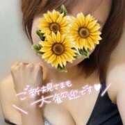 ヒメ日記 2026/08/29 12:24 投稿 陽葵-HIMARI- 博多最高級濃厚洗体風俗エステ シャルドネ福岡