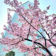 瀬戸 ももか 今晩は💕🌙 カサノヴァ