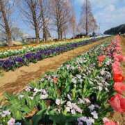 ヒメ日記 2026/04/29 09:25 投稿 瀬戸 ももか カサノヴァ