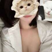 めい 🐈🐾 SAPPORO ばつぐんnet